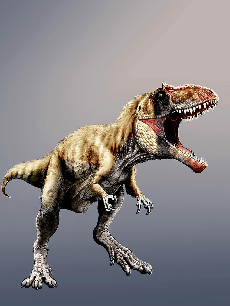 Artist reconstruction of the North American megapredator <em>Siats meekerorum</em>, named by Zanno and colleague Peter Makovicky in 2013.